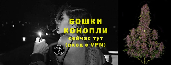 СК Балахна