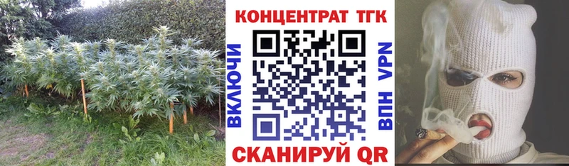 где найти   KRAKEN вход  Дистиллят ТГК гашишное масло  Кунгур 