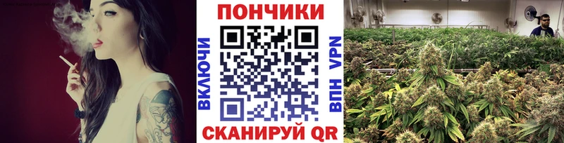 Бошки марихуана семена  Кунгур 
